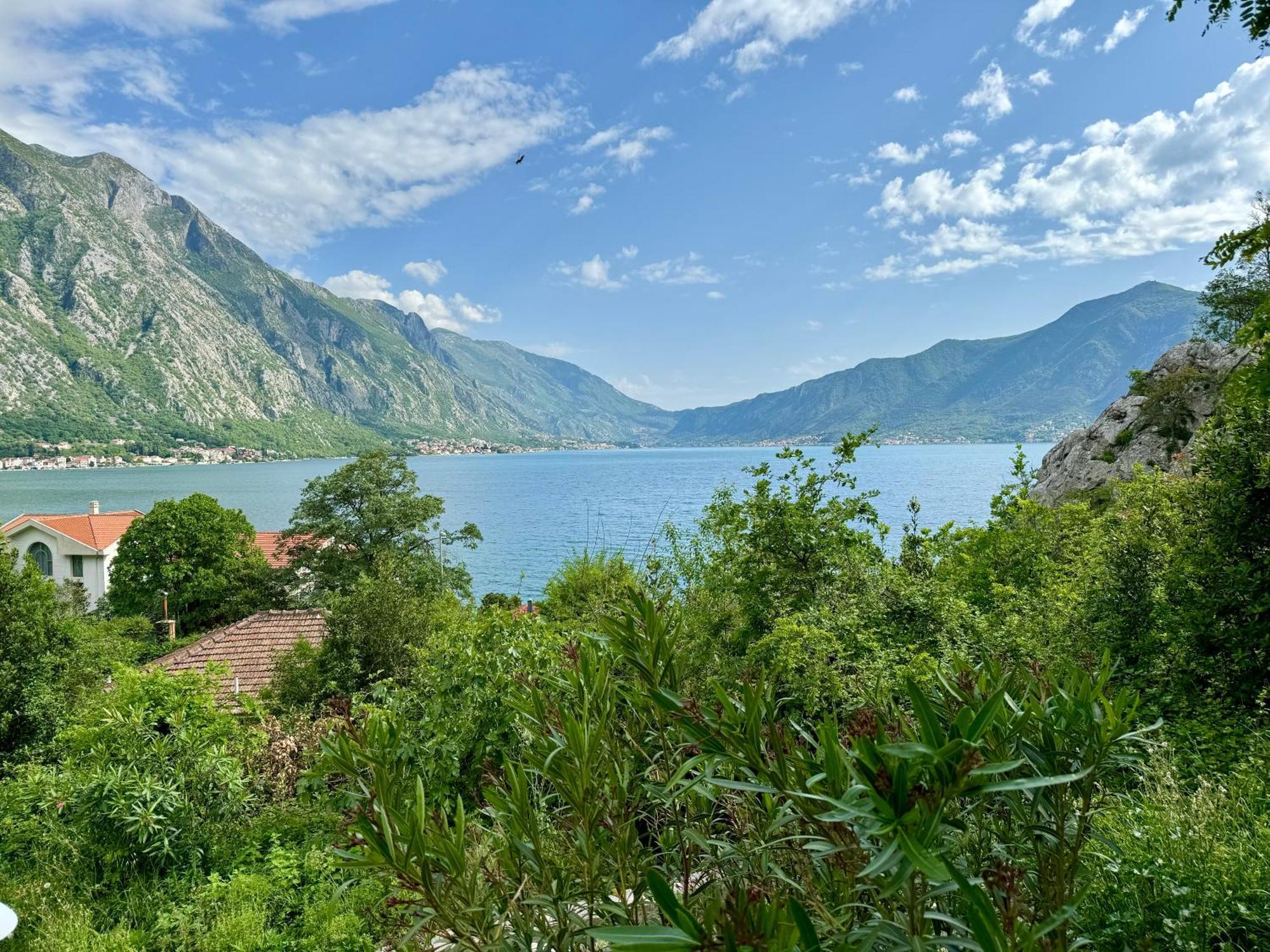 Olea Apartments Orahovac Kotor Bagian luar foto